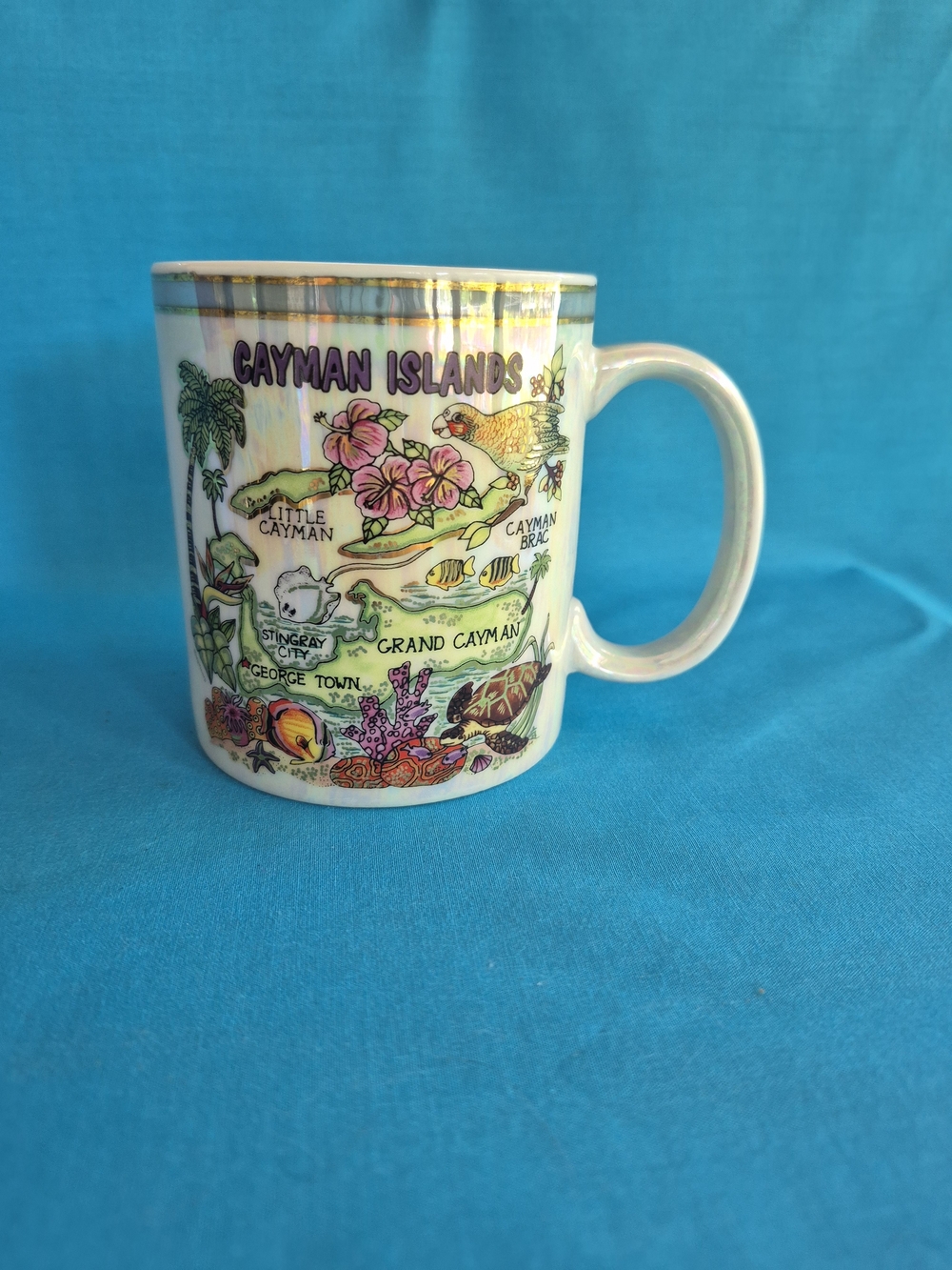 Cayman Islands Coffee Mug Tea Latte Stoneware Beach Souvenir Kitchen